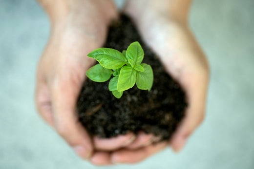 7 Ways to Grow Your Naturopathy Business in Australia in 2025